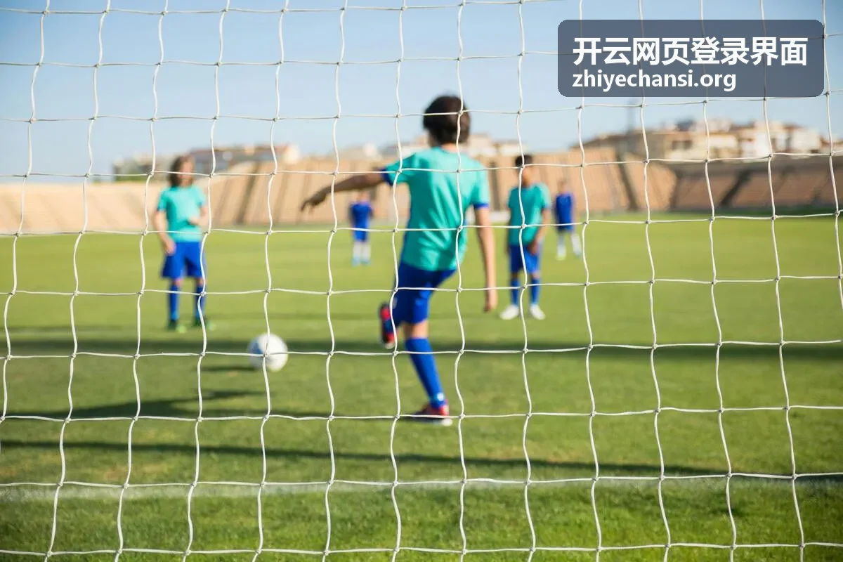开云网页登录界面会话状态与退出入口示意