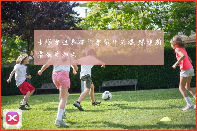 卡塔尔世界杯门票黄牛泛滥 球迷购票难度加大